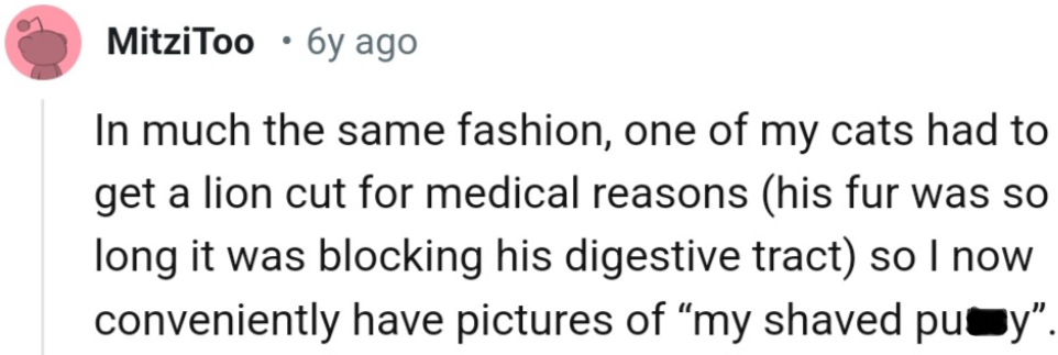 Check out some interesting comments we've gathered from the Reddit community;