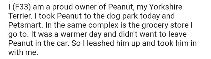 OP has a furry friend named Peanut. After a day out at the dog park, she decided to take Peanut grocery shopping. Interestingly, OP opted to take Peanut with her into the building rather than leave the dog in the car.