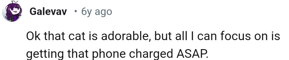 That cat is adorable, but someone needs to get their phone charged ASAP