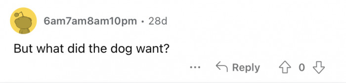 Okay, but did anyone ask the dog?