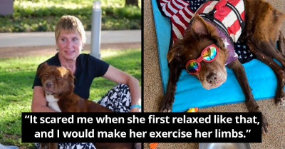 17-Year-Old Dog Is Living The Best Life – She Spends All Day Taking Floating Naps