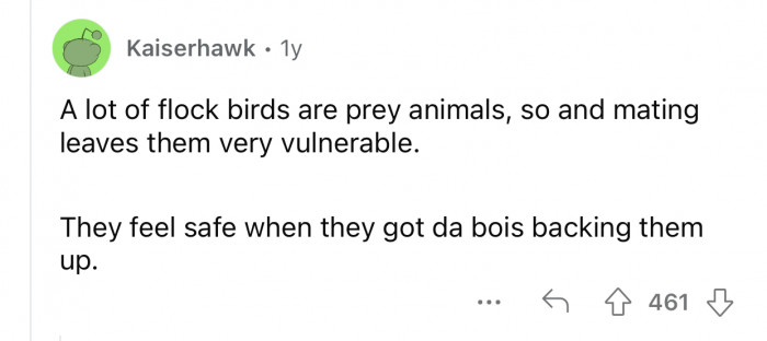 When the boys are watching your back, you can do your thing in peace.