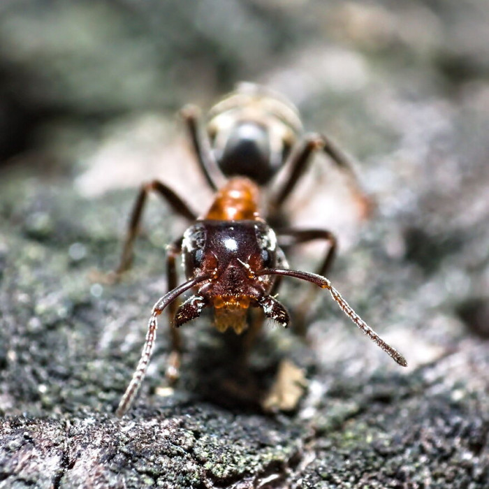 3. Hey everyone, beware of an alien attack and get ready!