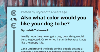 Choosy Beggar Gets Pointed to the Toys Department After Requesting a Dog That's Crate-Trained and Doesn't Bark Much