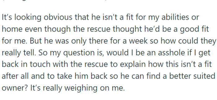 The dog, a young and energetic bundle of fur, was not settling well in OP's small house with no usable yard.