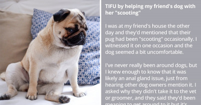 Man Offers To Help His Friend's Dog With Her "Scooting", Which Ends Up In Complete Disaster