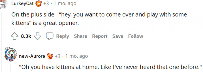 1. Oh, you have kittens at home...