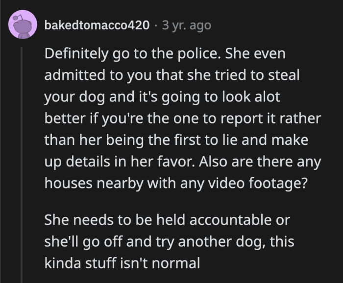 That lady was the criminal. OP was defending her dog from someone who stole and harmed him.