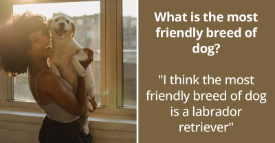 People Online Are Listing The Most Friendly Breeds Of Dogs, And Their Replies Are Insightful