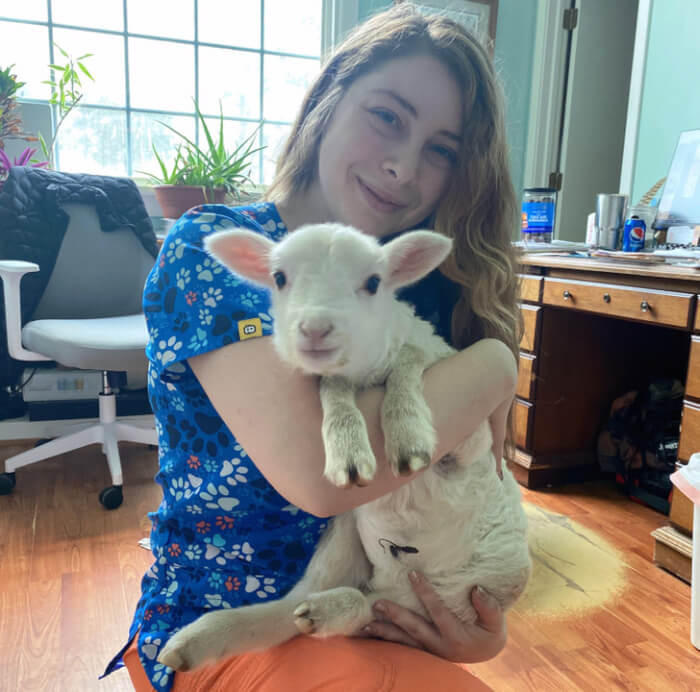 1. “Baby lamb came in who will need to be bottle-fed! How stinking adorable is she?! What should we name her?”