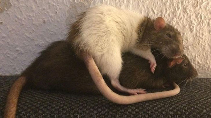 30. You're sooooooo comfy...