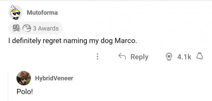 5. Constantly fish out of water