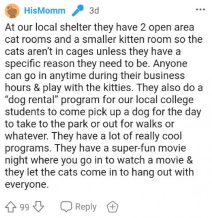 And finally, we have this beautiful piece from the OP again