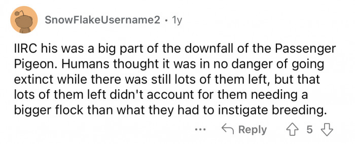 If the flock's numbers are reduced, it will get even smaller with time.
