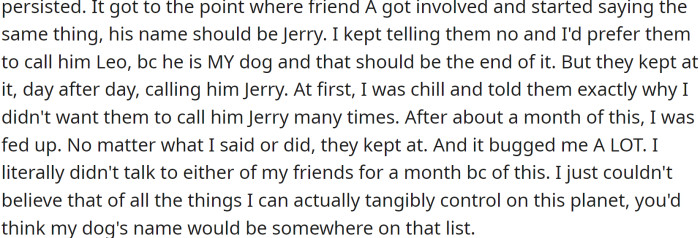 He named the dog Leo. However, his friends suggested renaming the dog Jerry, like the dad from Rick and Morty.