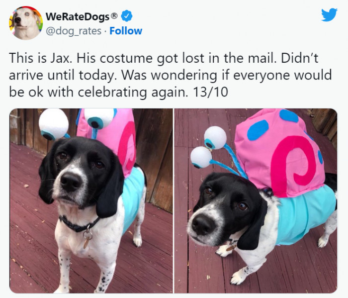 5. A "My-Dog-Wore-A-New-Costume" day is always a great idea. Get the party started!