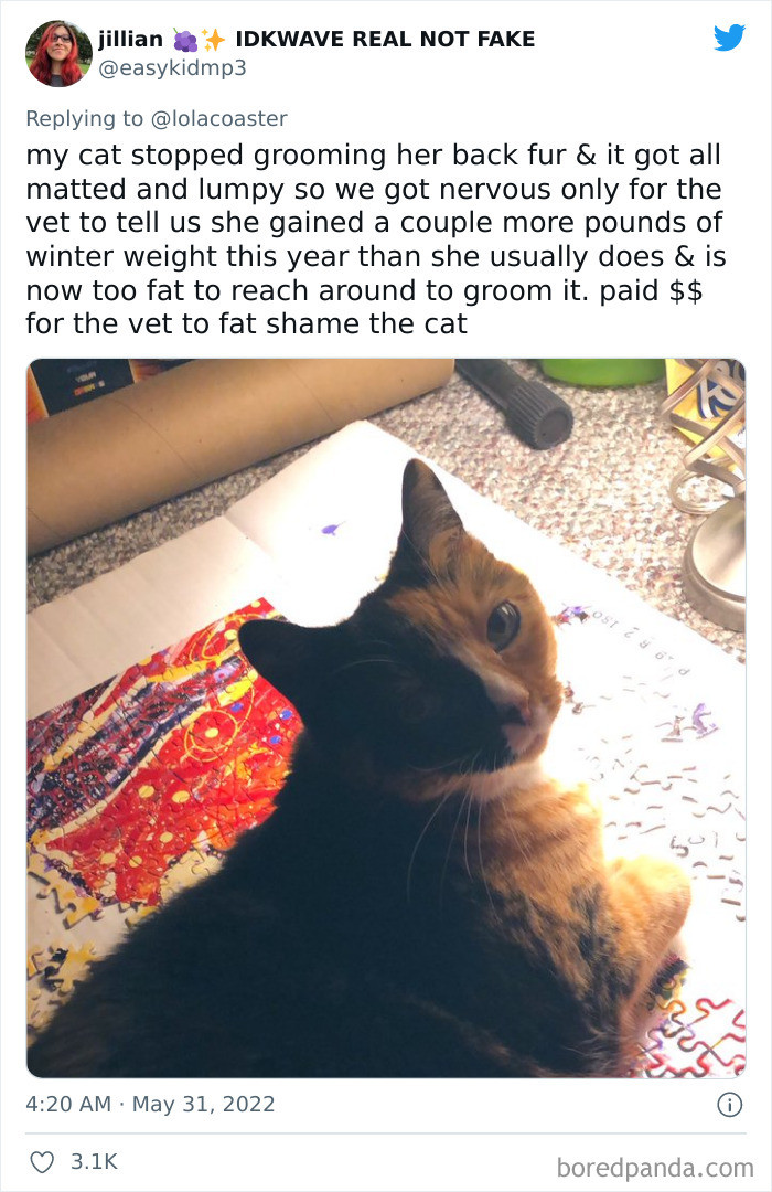 20. Fat cat shaming