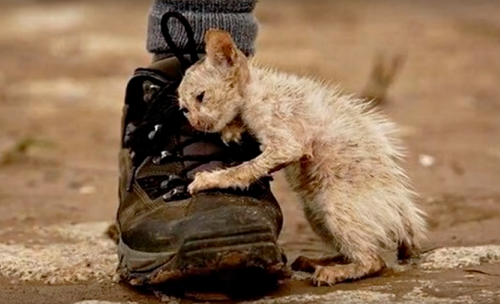 “Everyone in the apartment complex I resided in was aware of Ugly”