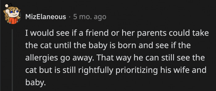 This seemed like the best solution out of all the comments, but we can tell that OP is very hesitant about rehoming his cat, who has only known him, his wife, and their home his whole life.
