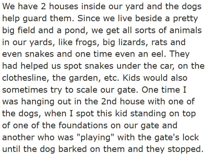 Kids would enter their yard without permission. Other animals tend to get in too.