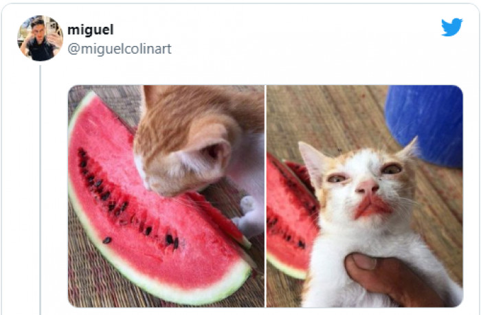 1. Just eating watermelon and loving it:
