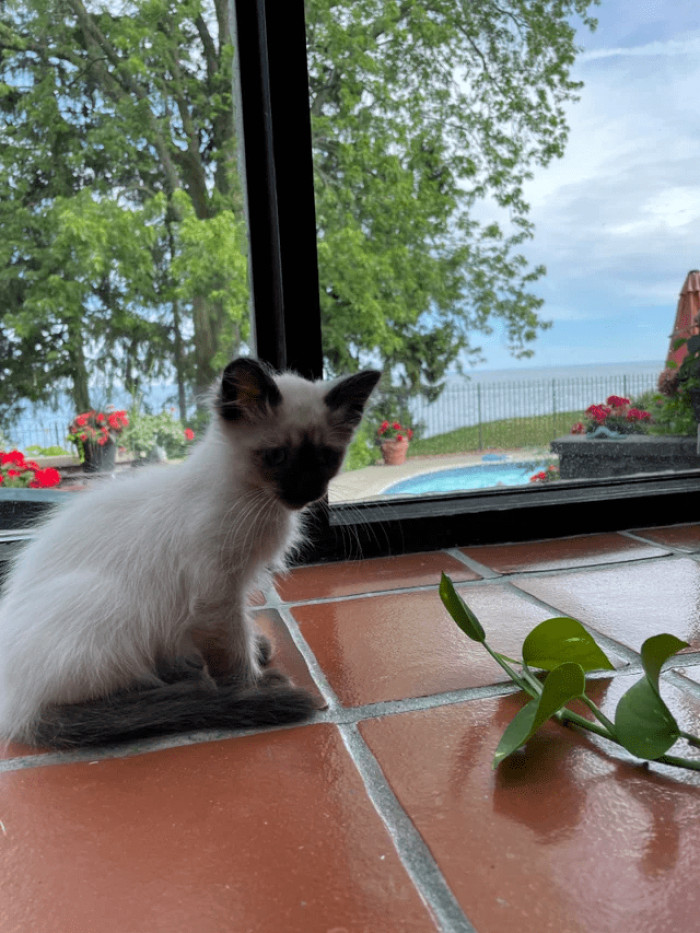 16. "Got a new dog! Meet Frank!"