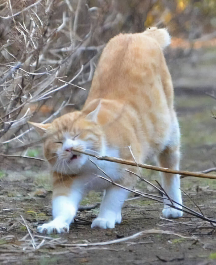 22. MFW I stretch and a stick goes up my nose