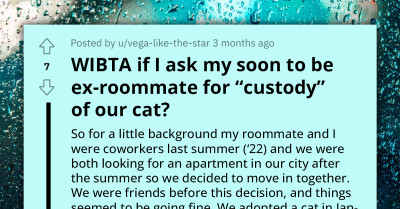 Man Wants To Ask His Ex-Roommate For The Custody Of Their Cat, Redditors React
