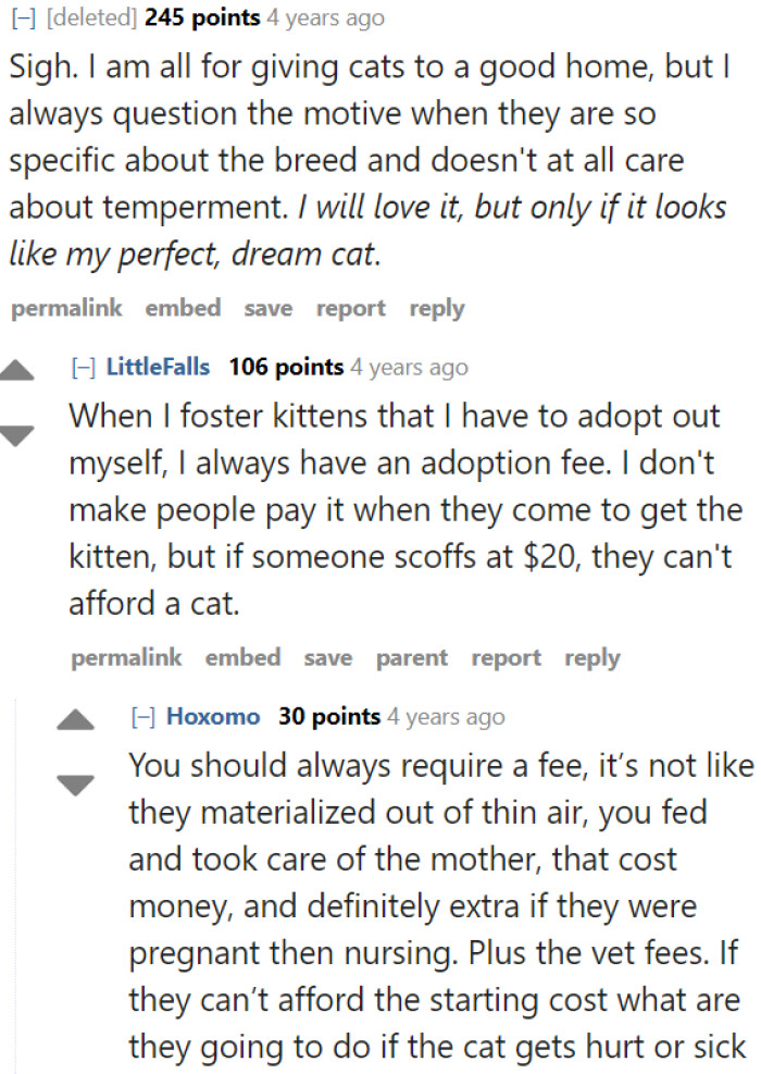 Your dream cat doesn't always mean it's your ideal pet.