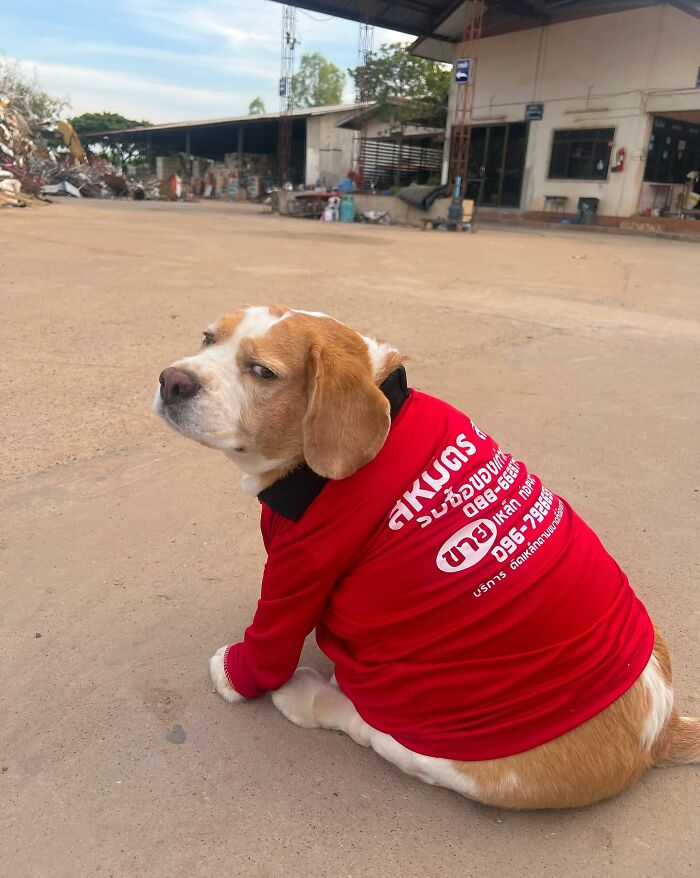 6. Clocked in five minutes ago and already questioning life choices.