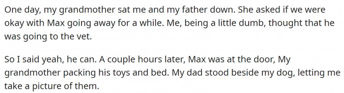 One day, his grandmother asked OP and his father if they were okay with sending the dog away for a while. OP thought she meant the vet and said it was okay.