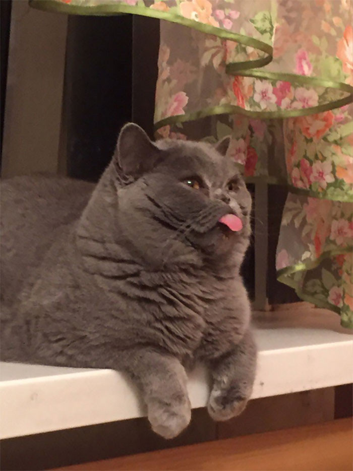 49. Pfffffbtttbbthtt