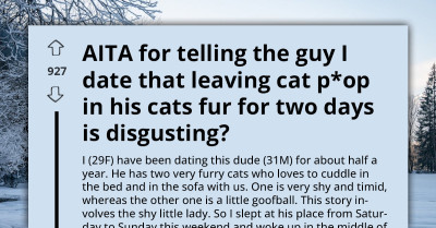 Relationship On The Rocks After Woman Discovers Boyfriend’s Shocking Cat Hygiene Habit