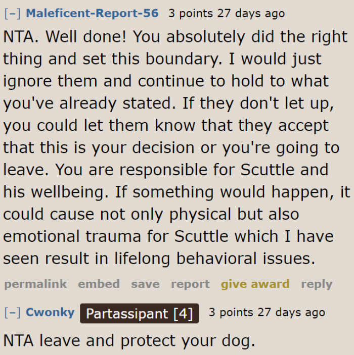 Leaving things as they are could lead to long-term problems for the Pomeranian.