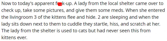 A lady from the local shelter