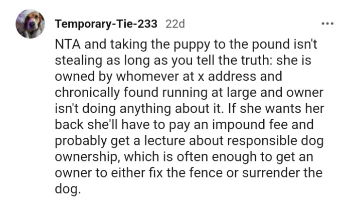Taking the puppy to the pound isn't stealing