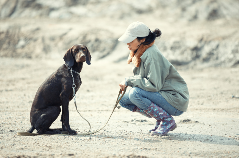 Doggos love it when their hoomans talk to them.