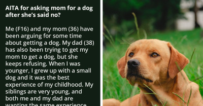 Adamant Teenager Wants To Adopt A Dog Despite Her Mother's Concerns And Won't Take No For An Answer
