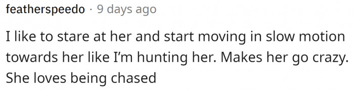 This doggo doesn't go into hunting mode. She prefers the "hunted" mode.