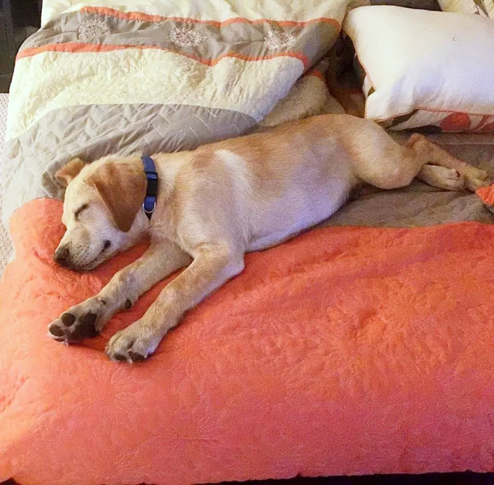 Absolutely adorable!