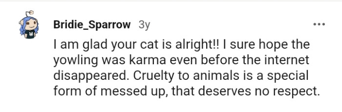 Here are a bunch of the most upvoted comments from other redditors for you to read through below