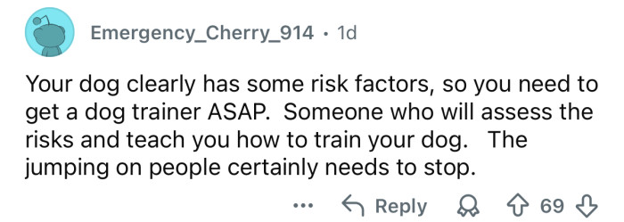 The dog needs some training.