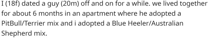She dated a 20-year-old man off and on for a while, during which time they lived together for about six months in an apartment where they each adopted a dog.