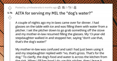 Woman Seeks Redditors' Opinion To Know If She Was Wrong For Serving Her Mother-In-Law "Dog’s Water"