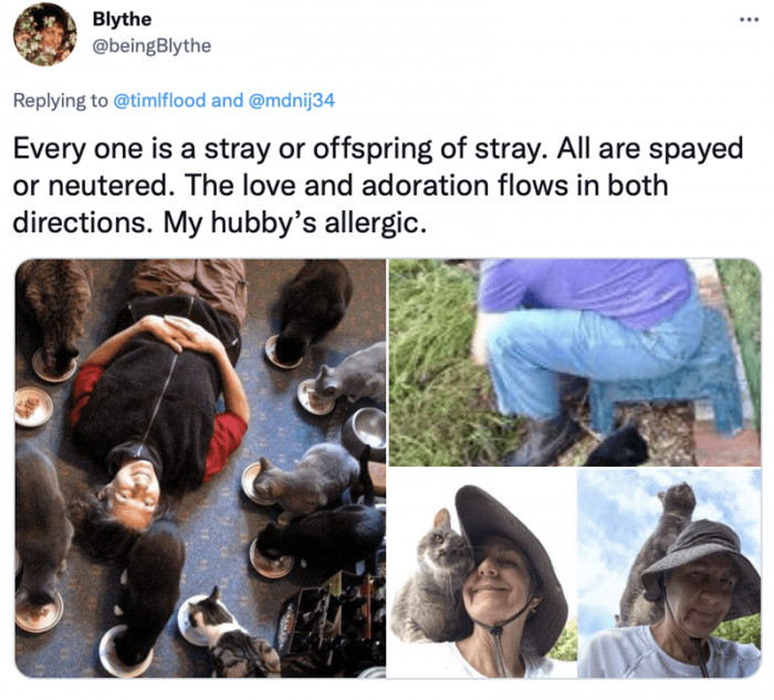 2. So many babies. Is there anything more delightful than lying in a cuddle puddle with that many cats? I think not.