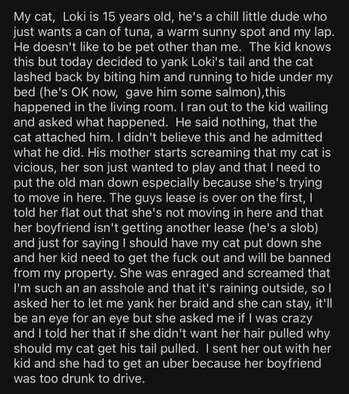 OP has a senior cat, Loki, who never bothers anyone.