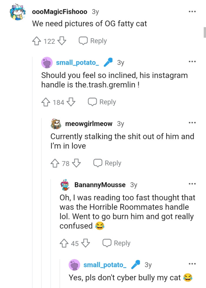 The OP has an Instagram account for his cat, and redditors love him