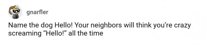 28. Crazy, or aggressively friendly