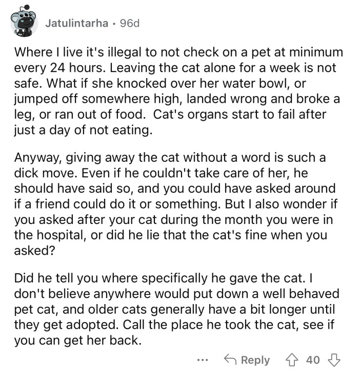 OP can still try to get her cat back.