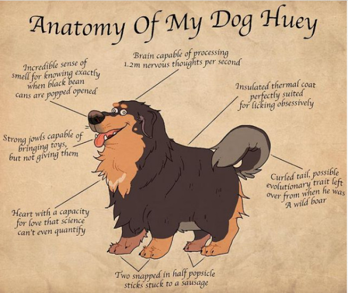 Grace adopted her dog Huey when he was just a puppy, and here is his description: